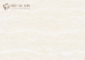 TH-C8801